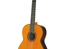 guitare Esteve 4ST