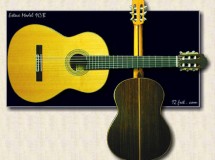 guitare Esteve 9C/B