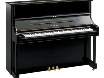 U1Q yamaha droit