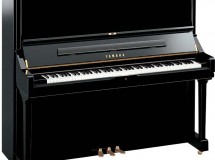 U3 yamaha droit