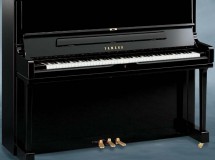 yus1 yamaha droit