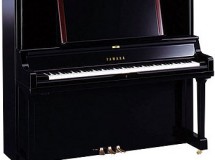 yus5 yamaha droit