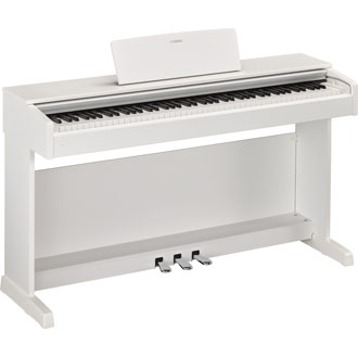 ydp 143 blanc