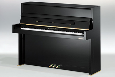 C.Bechstein millenium 116