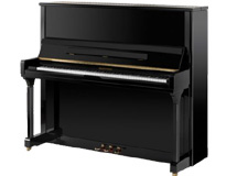 hoffmann-vision-131