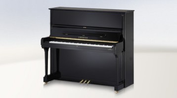 C.Bechstein Concert 8