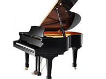 piano queue 225 X 160