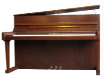 schimmel-noyer-satine 225 X 160