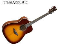 guitare transacoustique 225 X 160