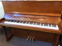 euterpe 225 X 160