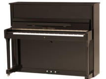 P121whilstein225 X 160