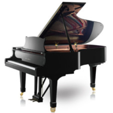 piano-queue p 212 225 X 225