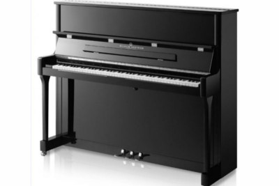 WILHELM GROTRIAN WGS 116